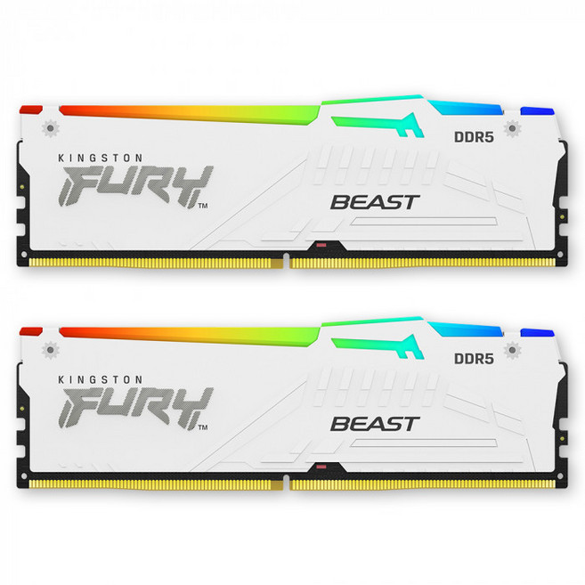 킹스톤 FURY DDR5-6000 CL30 Beast RGB 화이트 패키지 코잇 (32GB(16Gx2)), 1개