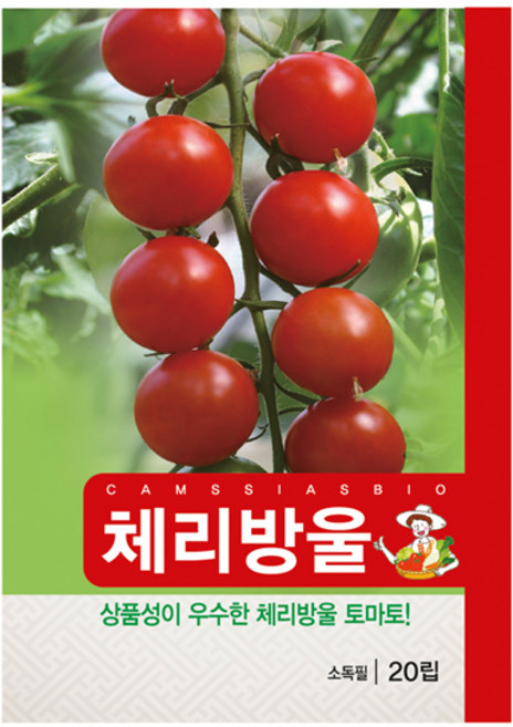 마이산도시농부 체리 방울 토마토 씨앗, 1개