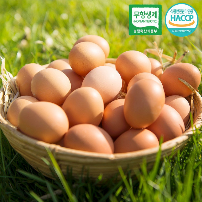 [맛꾼] 프리미엄 HACCP 자연방사 난각번호 1번 무항생제 유정란, 1개, 40구