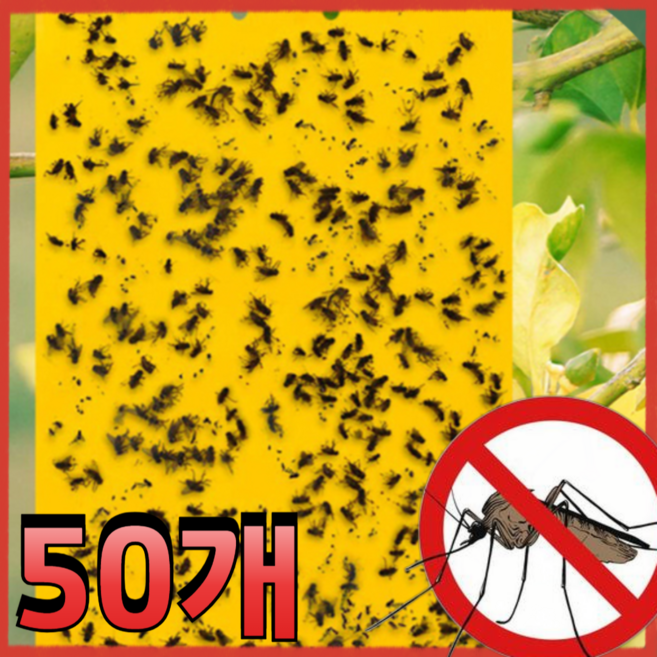 라이프비바 업소용 대용량 초강력 러브버그 모기 권연벌레 퇴치 끈끈이 트랩, 50개, 10g