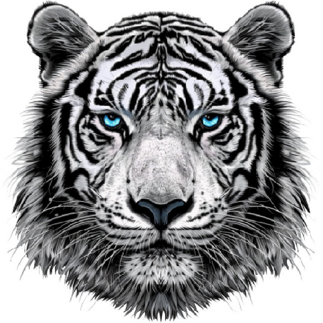 백호 스티커 자동차데칼 호랑이대형스티커 바이크 화물차 스티커 차량용 스티커, 대형, 1개, A-3