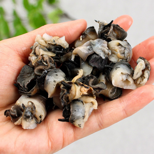 바다받아 국내산 우렁이 논고동 논우렁살 우렁쌈밥, 1개, 우렁살700g+수분300g (오차 5%)