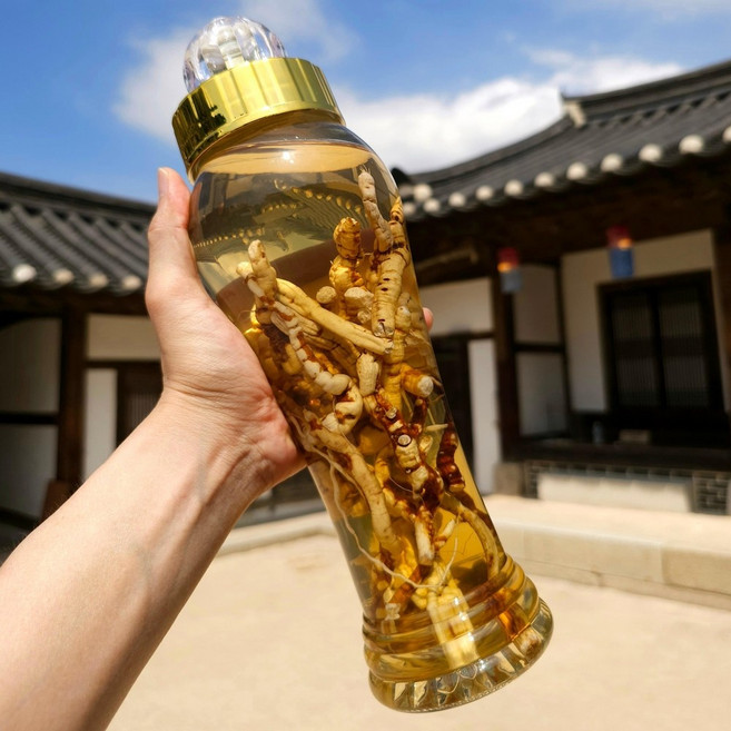 더풍월 백하수오 하수오 백수오 담금주 키트 (술 포함 X), 1개, 2.4L