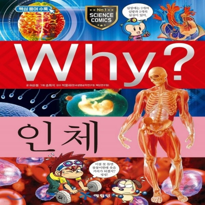 새책-스테이책터 [Why 인체] Why 초등과학학습만화 2--예림당-허순봉 지음 송회석 그림 박용하 감수, 출판사:예림당, 저자:허순봉,송회석,박용하