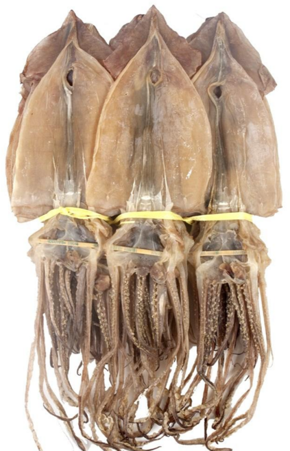 더줌 동해안 해풍 자연 건조 건 오징어 20미(2.0kg) 10미(1kg), 1개, 20마리(2kg)