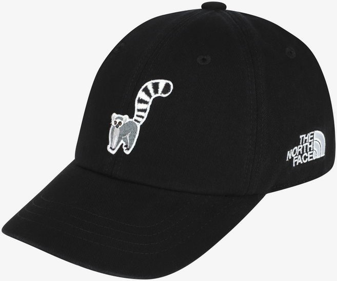 [매장판] 노스페이스 키즈 모자 볼캡 데일리 로고 와펜 블랙 NE3CS00R