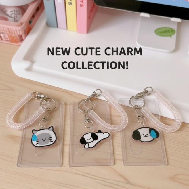 리슈 아이돌 굿즈 포토카드 키링 투명 카드케이스 네임택