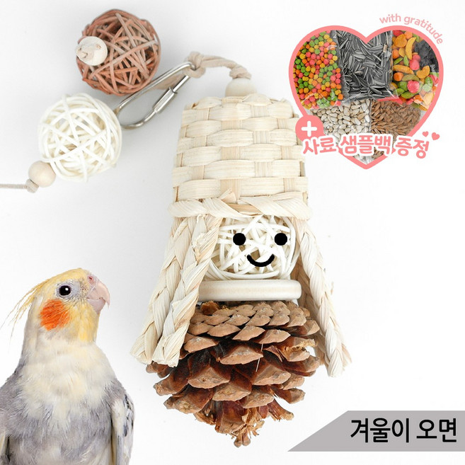 겨울이 오면 앵무새 장난감 솔방울 입질해소용 01121