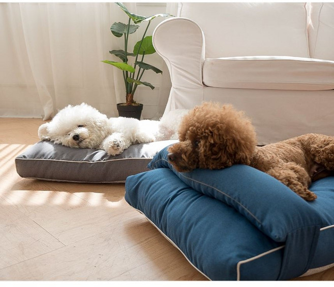 강아지방석 강아지 쿨매트 꿀잠 방석 이불 애견 빈백 기절댕냥쿠션, 그레이, 1개