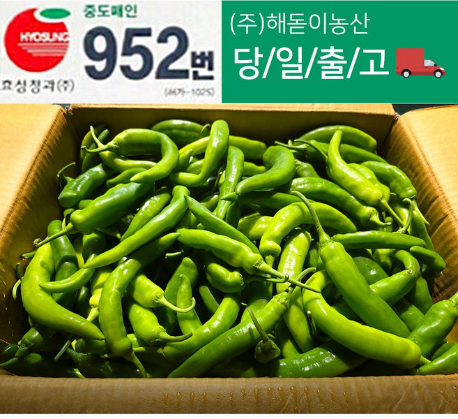 <해돋이농산> 국내산 아삭이고추 오이고추 오이맛고추 못난이상품 5kg 10kg, 1박스