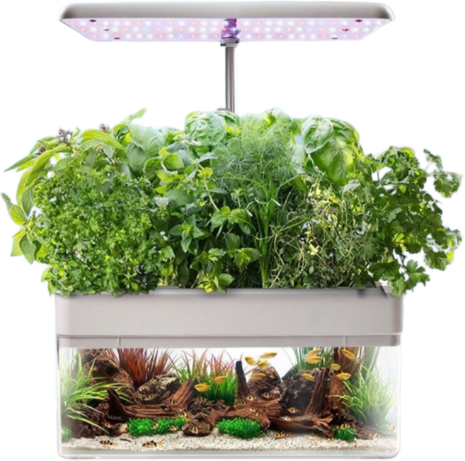 우리텃밭 어항 식물재배기 한번에 2in1 유기농 채소 야채 상추 재배 자동 물순환 LED, 1개, 어항 식물재배기 2in1