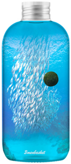 세남자바스켓 항상 곁에서 응원해주는 소원 마리모 10type, 정어리떼, 1개