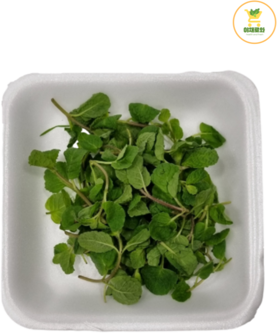 애플민트 (1팩/10g), 1개
