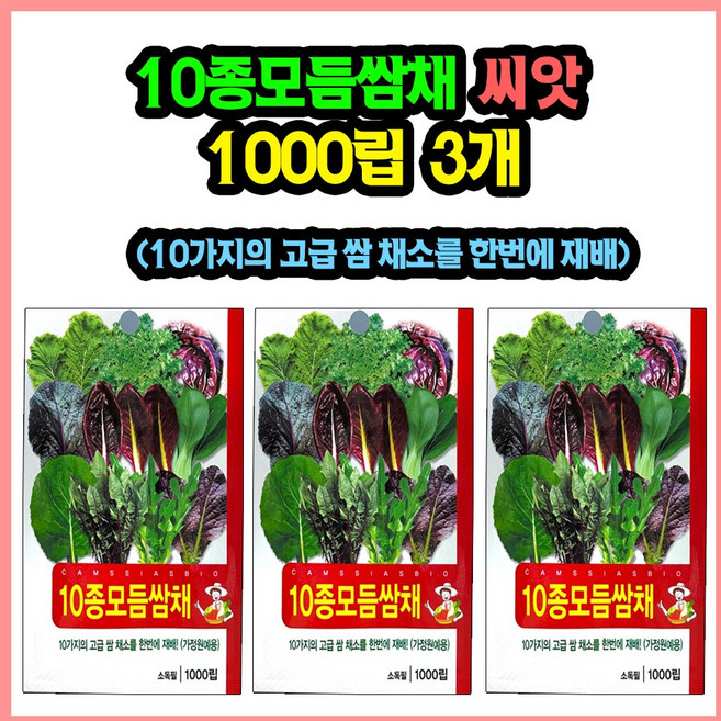 10종 모듬 쌈채소 씨앗, 3개