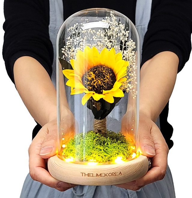 더라임코리아 풍수 해바라기 LED 유리돔 무드등 집들이 이사 개업 선물