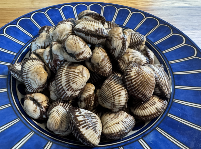 [당일수확] 속이 꽉찬 탱글탱글 벌교 꼬막 2kg, 1개, 탱글탱글 벌교꼬막 5kg(중)