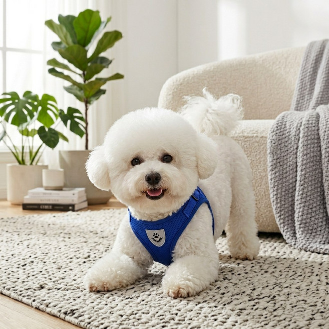 오브리버티 야간 산책 안심 빛 반사 스티치 강아지 하네스 리드줄 세트, 1개, 블루