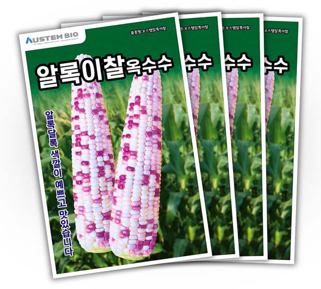 주주씨앗 알록이찰옥수수 씨앗 150립 얼룩찰옥수수 씨앗 다수확 통큰 옥수수, 4개