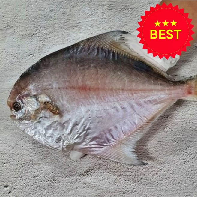 (산지 직송) 국산 손질 반건조 병어, 1개, 대