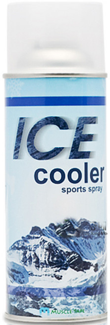 닥터쿨 스포츠 쿨링 냉각스프레이 420ml, 1개, 1개입
