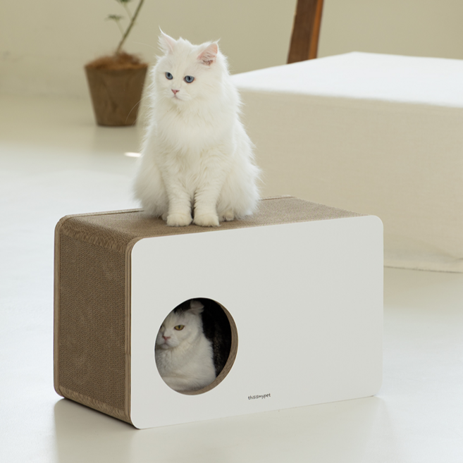 디스이즈마이펫 고양이 대형 상자 하우스 스크래쳐 장난감, 1개, 원색