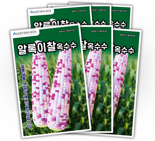 주주씨앗 알록이찰옥수수 씨앗 150립 얼룩찰옥수수 씨앗 다수확 통큰 옥수수, 6개