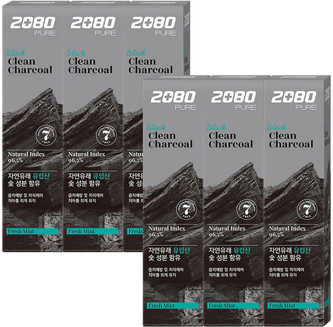 2080 퓨어 블랙치약 차콜 민트향 125g, 6개