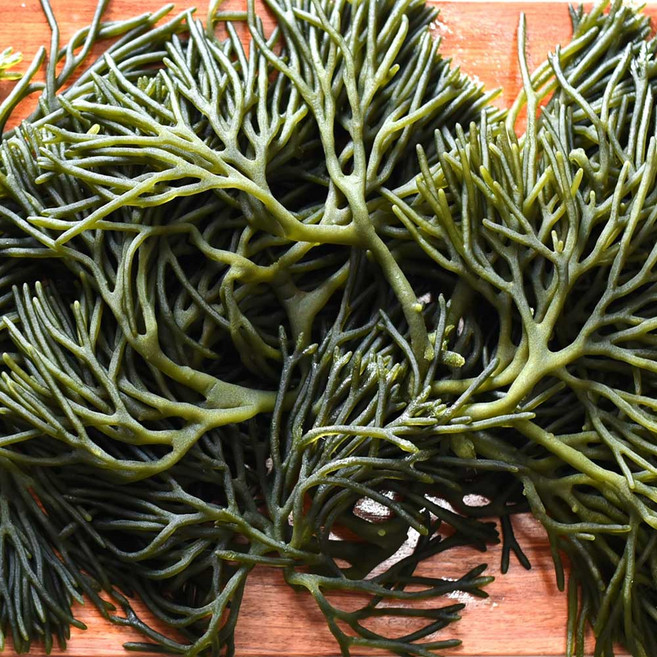 하라네 자연산 통영 생청각 김장용 햇 청각, 1kg, 1개