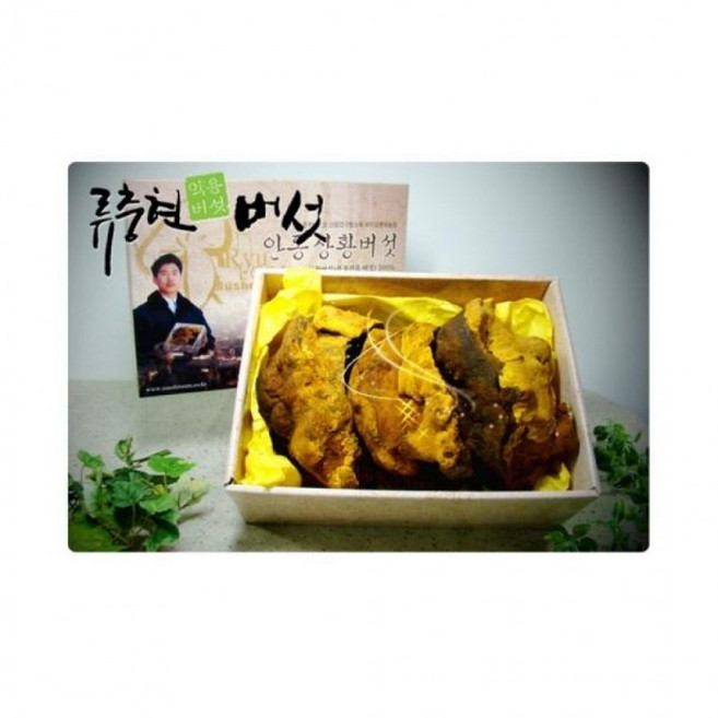 국산 상황버섯 300g 900120017/선물세트/명절/추석/설날/답례품, 단품, 1개, 상세페이지 참조