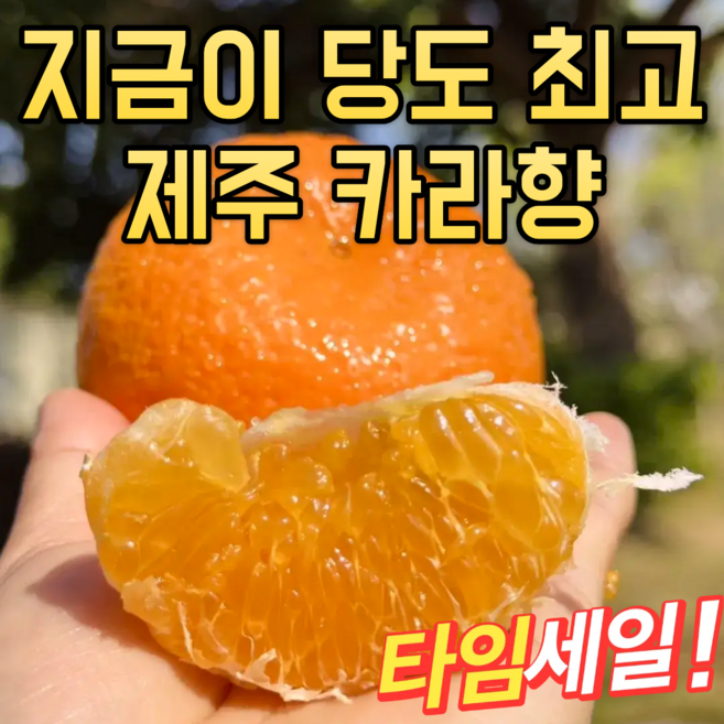 제주발송 비타민가득 꿀당도 카라향, 1박스, 3kg
