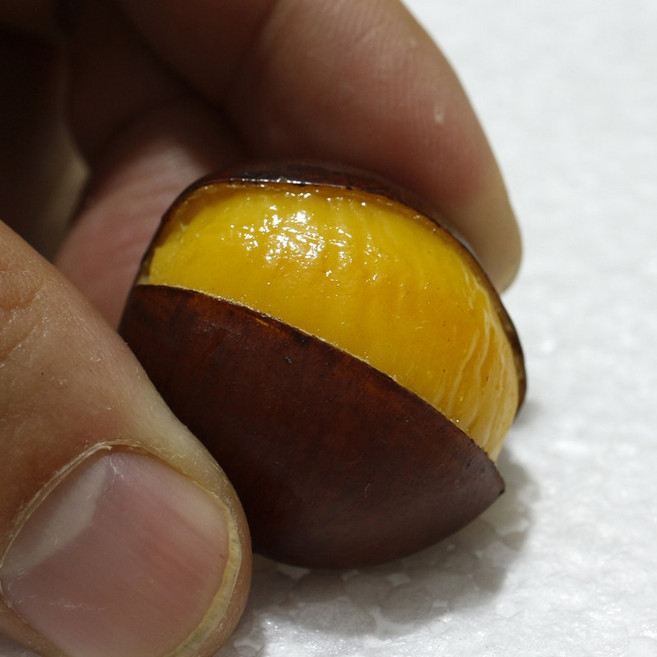 핫도그 모형 샘플소품 가짜 디스플레이 가게 시뮬레이션, 밤색 모델