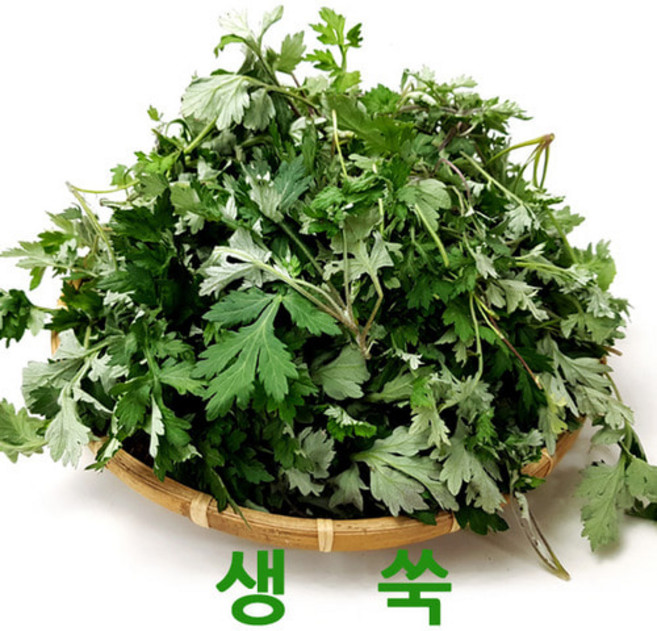 향긋한 생쑥4kg 해풍맞고자란 쑥 봄나물 웰빙푸드, 1개