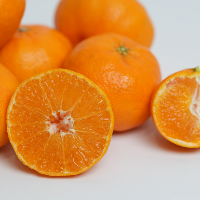 프리미엄 고당도 레드향 제주 산지직송 가정용, 1박스, 당일수확 가정용 소과 1kg