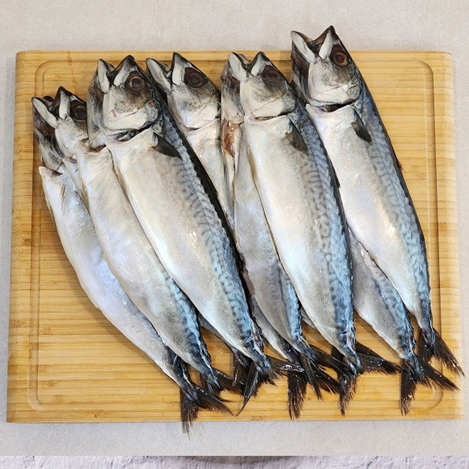 부산 자반고등어 대 10미 (3.5kg내외) 고등어구이 조림, 1세트, 10미당 3.1kg - 3.7kg 내외