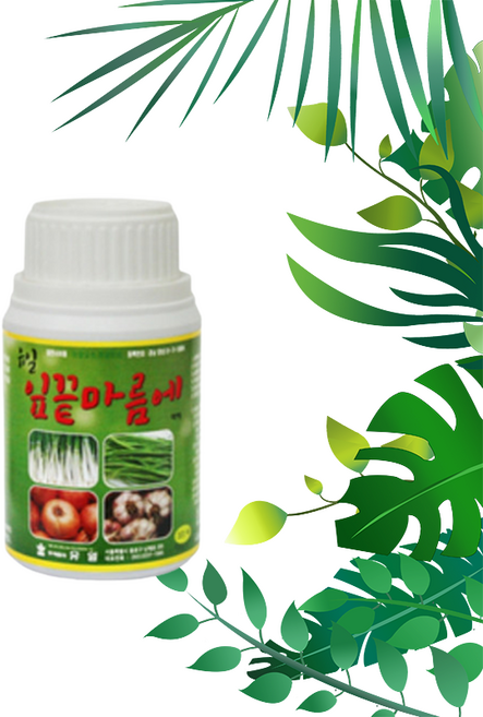 웨이타오 1+1 잎끝마름에 (300 ml) 유일 양파 마늘 고추 대파 쪽파 잎마름병 예방, 2개, 300ml