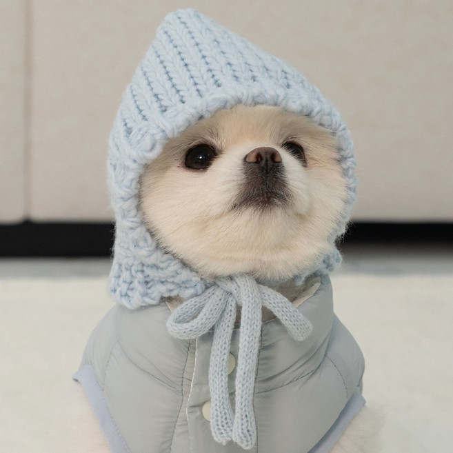 베일리펫 강아지 모자 겨울 귀도리 귀마개 코코보넷, 스카이, 1개