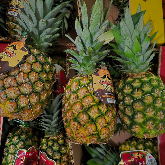 고당도 골드 파인애플 2송이 3송이 4송이, 1개, 3kg