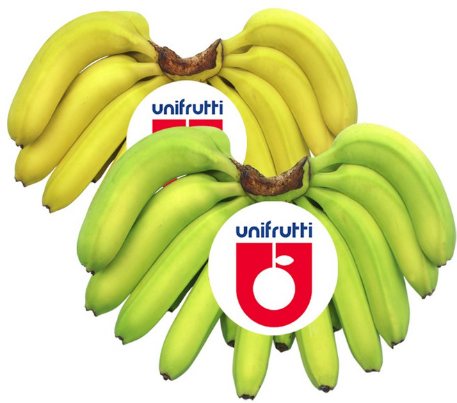 더노랑 필리핀 바나나 델몬트 유니 4.2kg 6kg 13kg, 1박스, 4.2kg내외, 바나나2송이(유니6수대과크기)