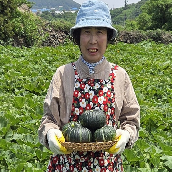 8위 - 제주 울엄마 미니단호박 미니밤호박 보우짱, 1개, 3kg