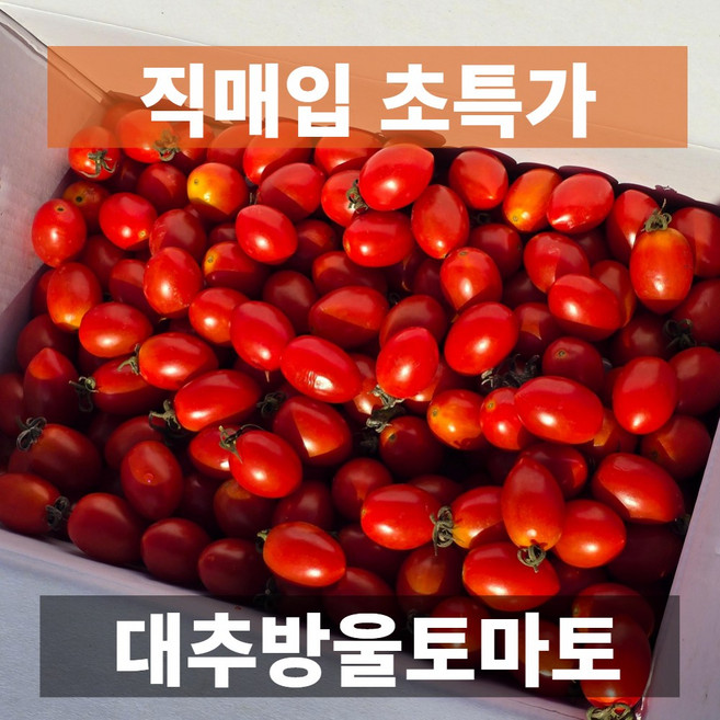 물가안정 금메달농수산 산지직송 대추방울토마토, 1개, 대과 3kg