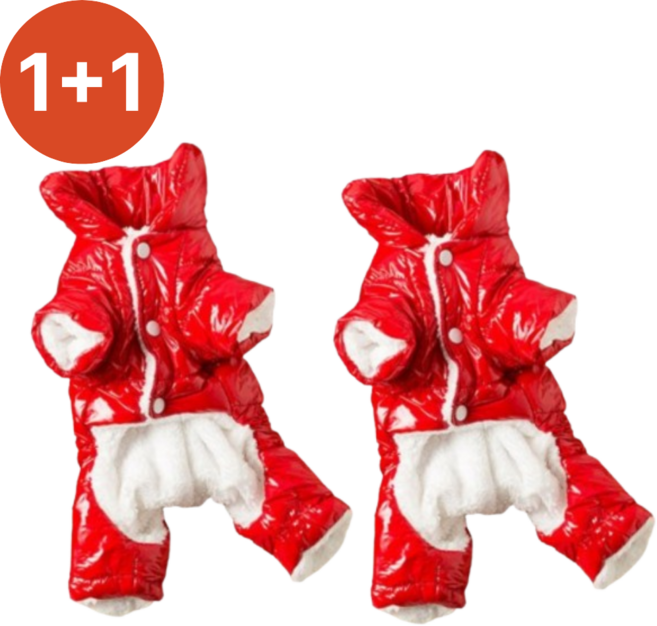 1+1 집안살림 반려견 강아지 올인원 전신 패딩 방한복, 2개, 레드+레드