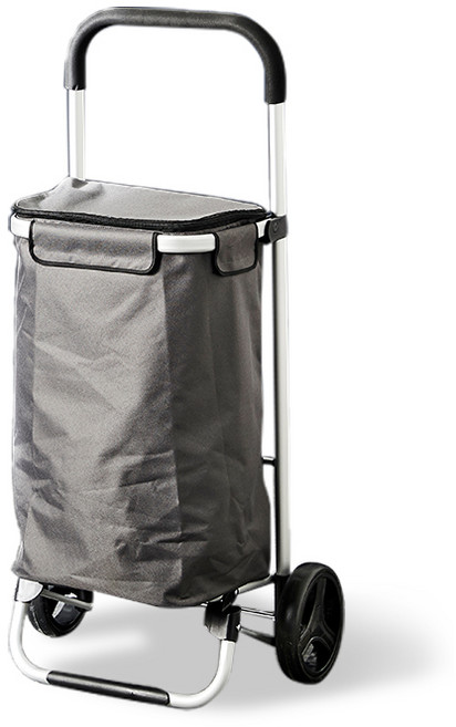 한샘 가벼운 장바구니 카트 고급형 (보냉용), 한샘 핸디 장바구니 쇼핑카트 스퀘어형, 1개