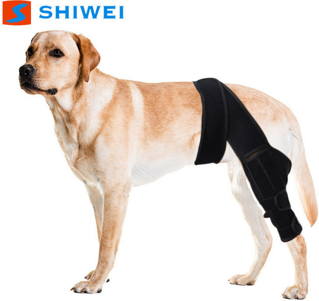 寵物關節保護套 狗狗護膝 支撐穩定關節 防止舔咬 恢復 加壓綁帶, 黑色 單隻,L, 1個