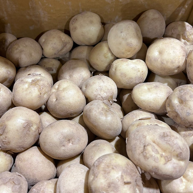 자연순수 국내산 수미감자 조림용 (중) 꿀맛 감자요리용, 2개, 9kg