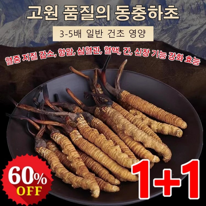 1+1 고급 동충하초 자연산 동충하초 인공으로 굴착하다 보양식, 0.5g*(2+2개)