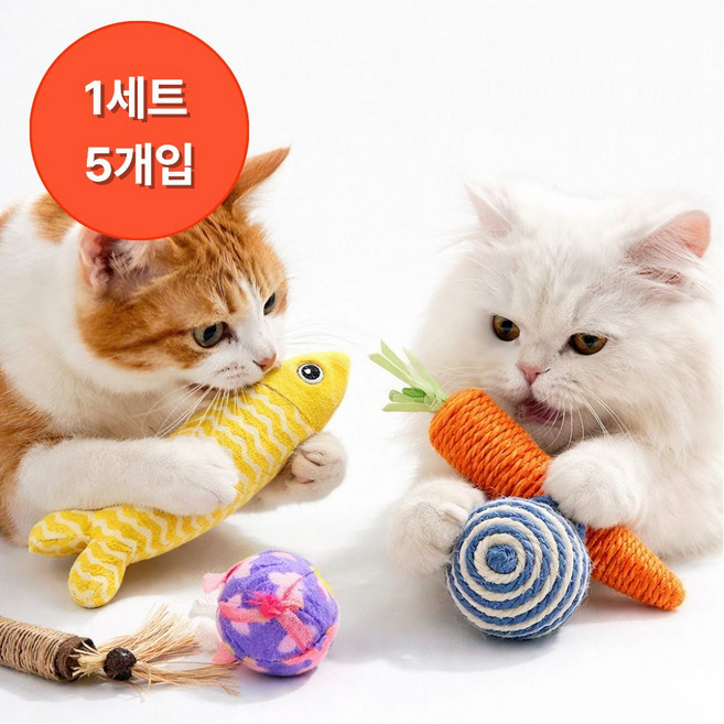 샤샤픽 고양이 이갈이 장난감