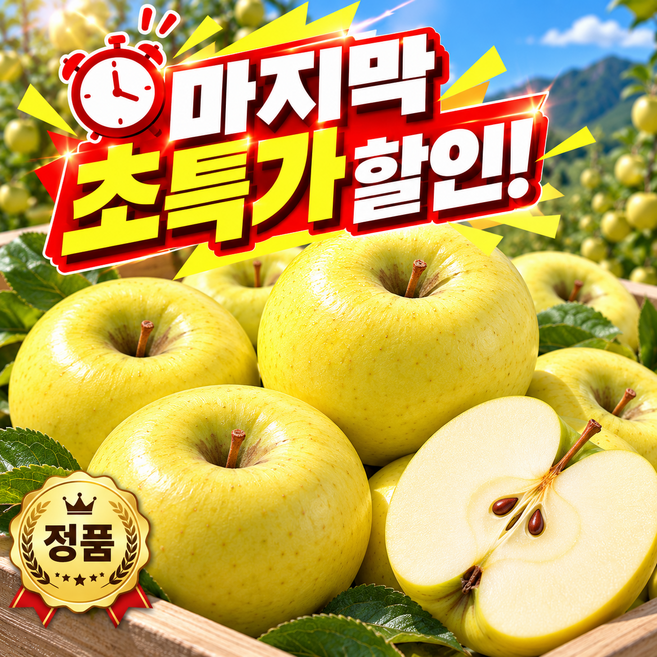 [정품특가] 고당도 시나노 골드 사과 (대과), 1박스, 정품 3kg