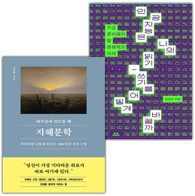 허무감에 압도될 때 지혜문학+인공지능은 나의 읽기-쓰기를 어떻게 바꿀까 세트