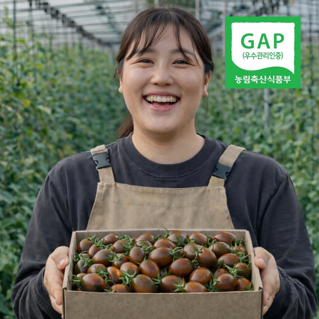 밀양 고당도 당일수확 흑대추 방울토마토, 1박스, 2kg