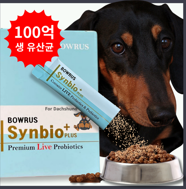 바우루스 강아지 고양이 프로바이오틱스 유산균, 30회분, 닥스훈트, 1박스